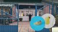 Padres exigen respuestas tras encontrar gusanos en alimentos de una escuela de General Alvear. Padres exigen respuestas tras encontrar gusanos en alimentos de una escuela de General Alvear.