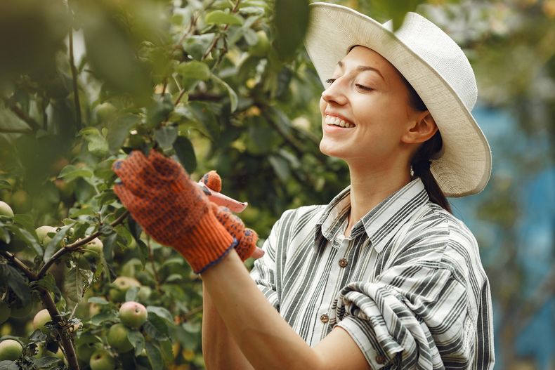 Los 12 Beneficios De Practicar Jardinería Y Cuidar Las Plantas