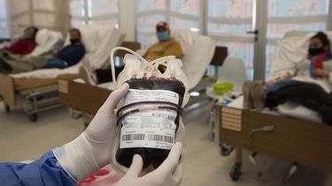 Se busca incentivar la donación de sangre. &nbsp;
