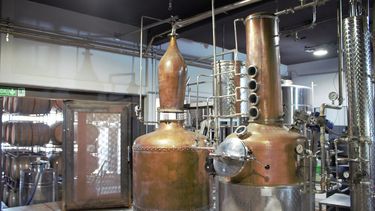 el nuevo oro liquido: destilados mendocinos ganan mercado con identidad propia el nuevo oro liquido: destilados mendocinos ganan mercado con identidad propia