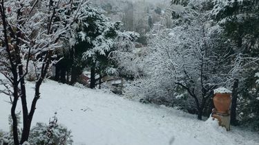 ¿Volverá la nieve este domingo en Mendoza?
