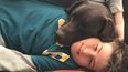 perros de asistencia y la ley que surge tras la discriminacion a un nino mendocino