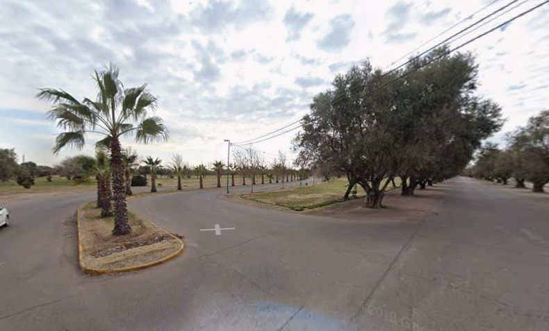 El hecho ocurió en el Parque Metropolitano de Maipú, en mayo.