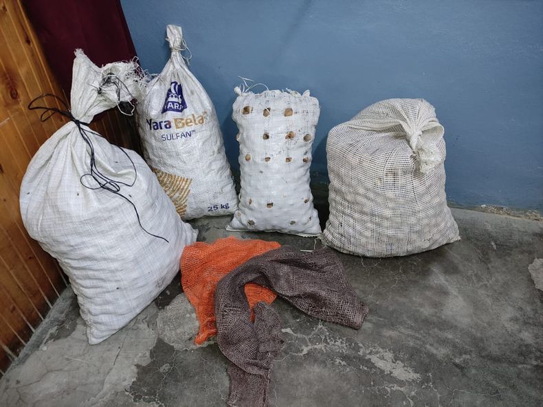 El robo de nueces en Tupungato preocupa a productores y autoridades policiales.&nbsp;