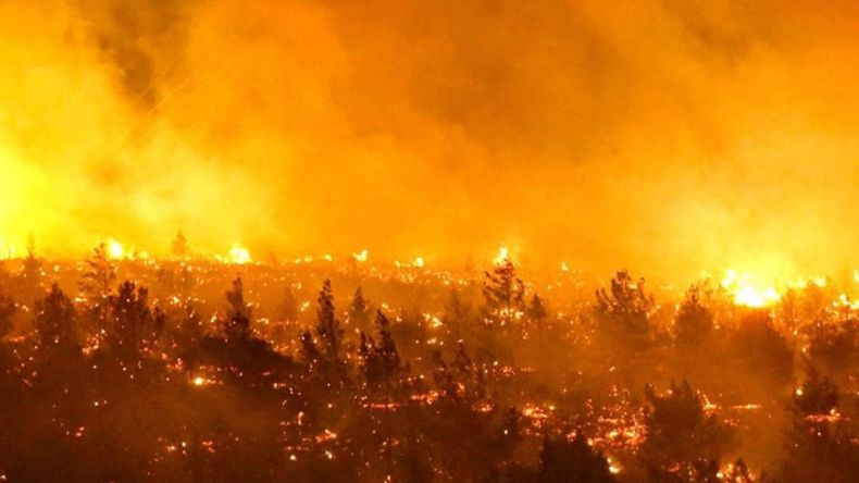 Incendios en Chile llevan una semana sin control.