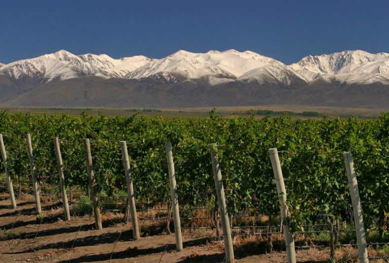VINOS
