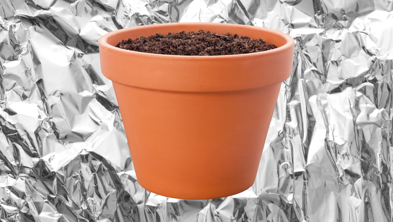Un truco sencillo con papel aluminio para el cuidado de tus plantas 