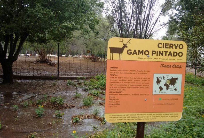 Criticaron a Cornejo por no cumplir con las promesas de campaña.