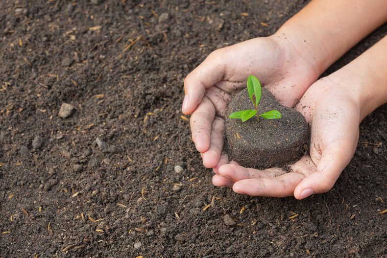 Por qué es feriado el próximo 1 de agosto en Argentina, Día de la  Pachamama, tdex, RESPUESTAS