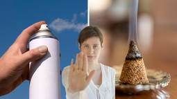 Descubrí la planta que supera a los sahumerios y aerosoles por su aroma exquisito