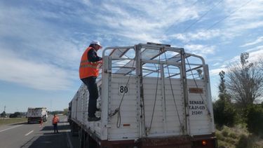 un paro de senasa frena exportaciones y controles en aduanas de todo el pais