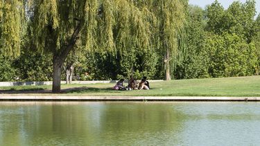 Caluroso, el pronóstico del tiempo en Mendoza. Caluroso, el pronóstico del tiempo en Mendoza.