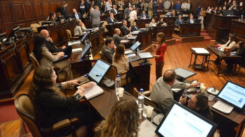 El Senado podría convertir en ley la declaración de necesidad de reforma el próximo martes. El Senado podría convertir en ley la declaración de necesidad de reforma el próximo martes.