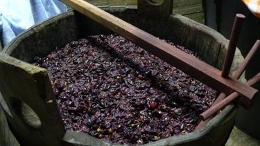 Cuál es la estrategia de Argentina para defender al mosto, acusado de dumping en EEUU