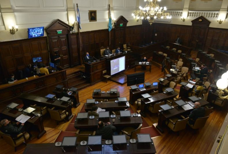 Senado mendoza 2020 04