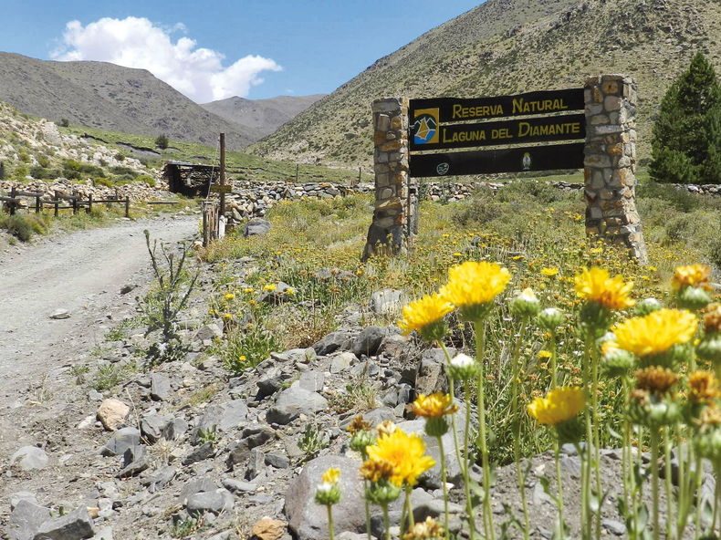 Trabajos en el Valle de Uco.