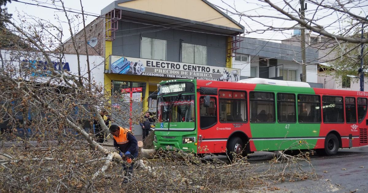 Un colectivo chocó contra un árbol en Godoy Cruz