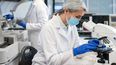 Más de 300 profesionales participan de un importante encuentro científico en San Rafael