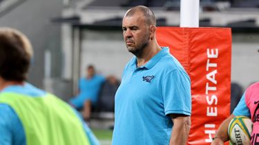 el entrenador australiano michael cheika arribara el domingo proximo para comenzar actividad