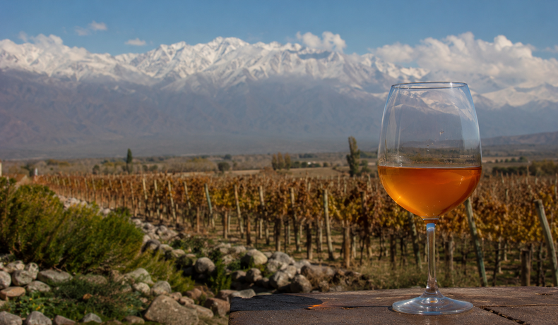 Qué es el vino naranjo: origen, características y cómo tomarlo