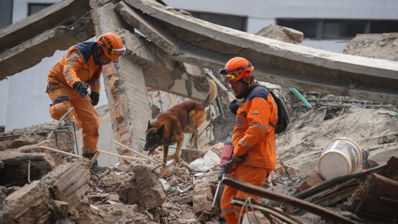 Miembros de la Defensa Civil Colombiana y un binomio canino realizando operaciones de búsqueda y rescate entre los escombros de un edificio colapsado en Cali, Colombia. Imagen del 13 de agosto de 2026.