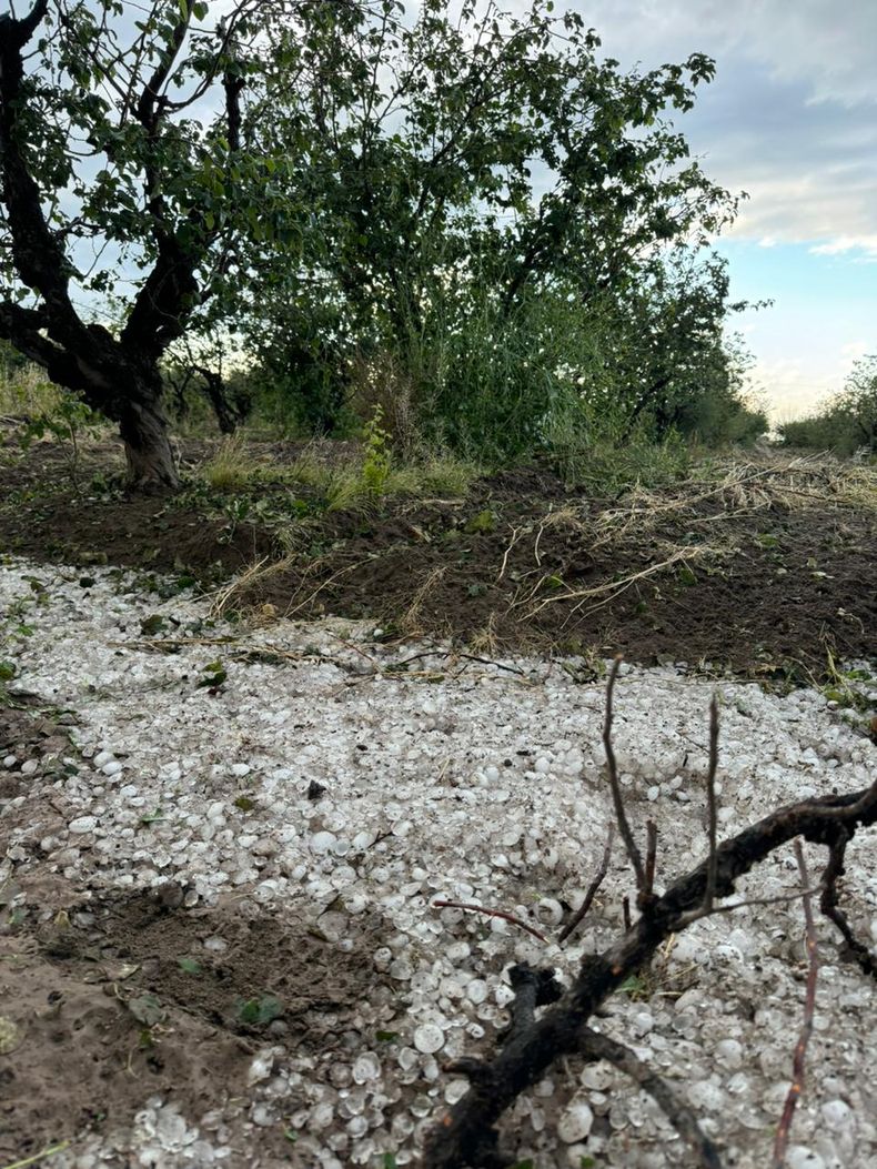 granizo SR 2024 01.jpeg