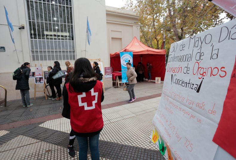 DÍA DE LA DONACIÓN DE ÓRGANOS