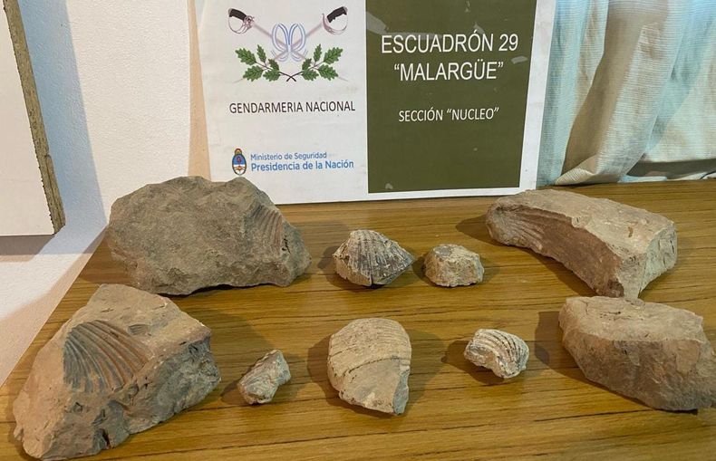 Gendarmería Nacional Argentina incauta restos arqueológicos.