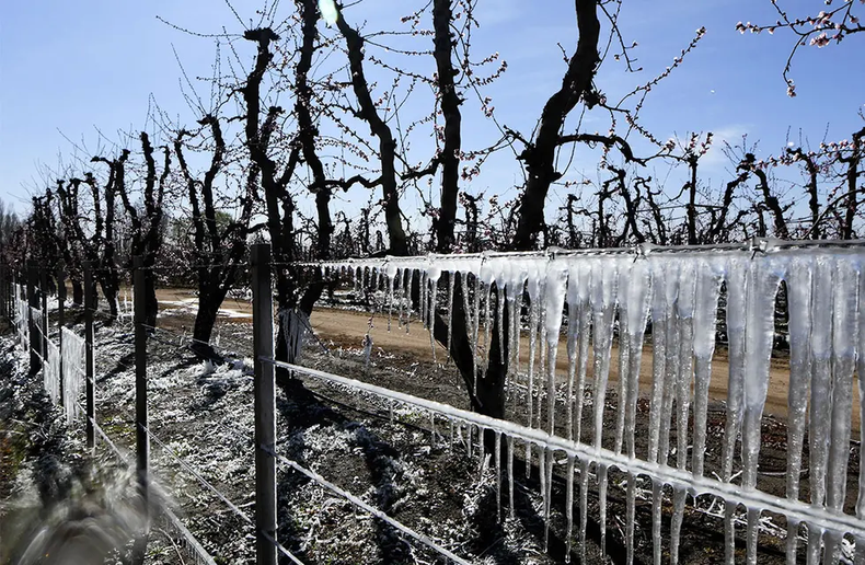 Mendoza destinar&aacute; los $7.000 que recibi&oacute; por ATN a la atenci&oacute;n de la emergencia agropecuaria.