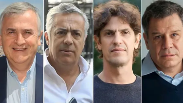 balotaje: el radicalismo define su posicion