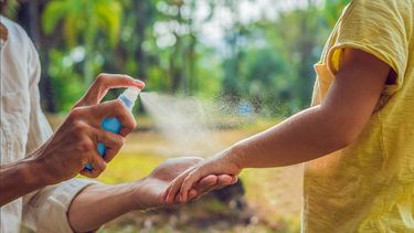 Dengue: el uso de repelente es una de las principales medidas de prevención