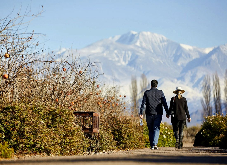 Fin de semana largo: el Valle de Uco espera con cultura, vino y naturaleza