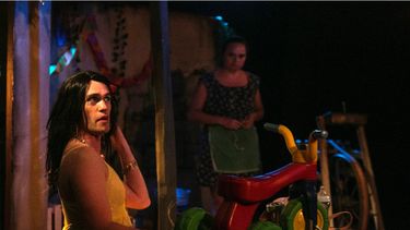 Sitio Andino | la persistencia de los grillos