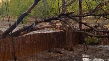 Sitio Andino | General Alvear tormenta.jpg