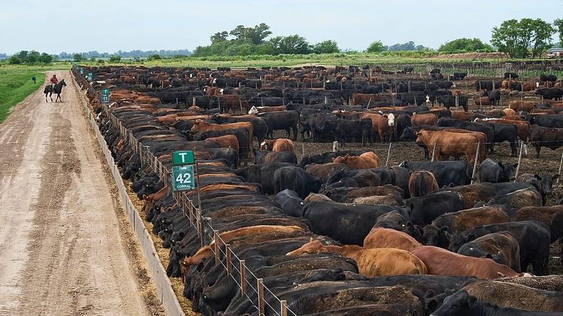 La carne argentina pierde mercado interno pero tambien participación en los mercados globales