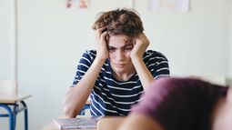 ¿Qué piensan los estudiantes de 15 años sobre su futuro y la escuela?