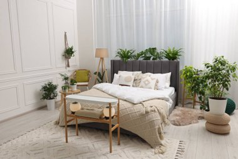Jardinería: 5 plantas ideales para tu dormitorio&nbsp;&nbsp;