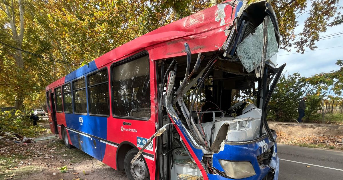 Un colectivo chocó con un árbol en Luján de Cuyo: cinco heridos