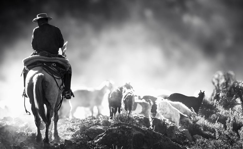 La trashumancia es un sistema de movilidad estacional mediante el cual familias crianceras o puesteras trasladan sus animales, principalmente cabras, ovejas, vacas y equinos, entre campos bajos de invernada y zonas altas de veranada. 