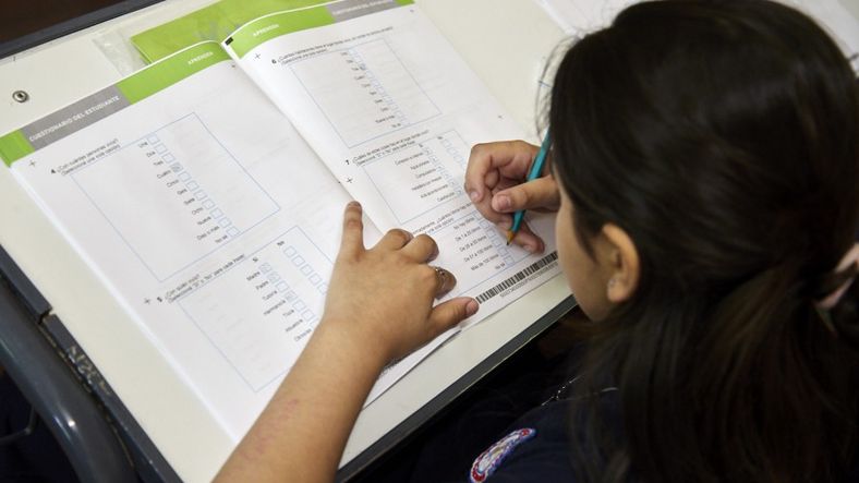 Pruebas PISA: el analisis de un cientifico sanrafaelino tras los resultados.