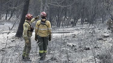 Después de jornadas de angustia y fuego descontrolado, la naturaleza dio una tregua en la Comarca Andina cuando este domingo, que comenzó como un día de peligro extremo por el viento fuerte, se transformó en un escenario de alivio con la llegada de las primeras lluvias a las zonas más castigadas de Chubut, como el Parque Nacional Los Alerces, Esquel, El Hoyo y Epuyén. FOTO NA Después de jornadas de angustia y fuego descontrolado, la naturaleza dio una tregua en la Comarca Andina cuando este domingo, que comenzó como un día de peligro extremo por el viento fuerte, se transformó en un escenario de alivio con la llegada de las primeras lluvias a las zonas más castigadas de Chubut, como el Parque Nacional Los Alerces, Esquel, El Hoyo y Epuyén. FOTO NA