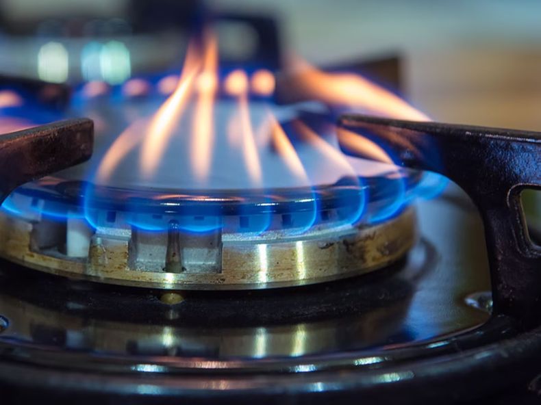 Cómo pedir el subsidio de luz y gas: requisitos y paso a paso para anotarse