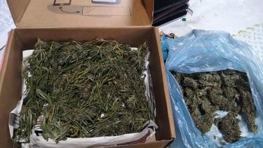 Parte de la droga incautada en uno de los allanamientos en Las Heras.&nbsp;