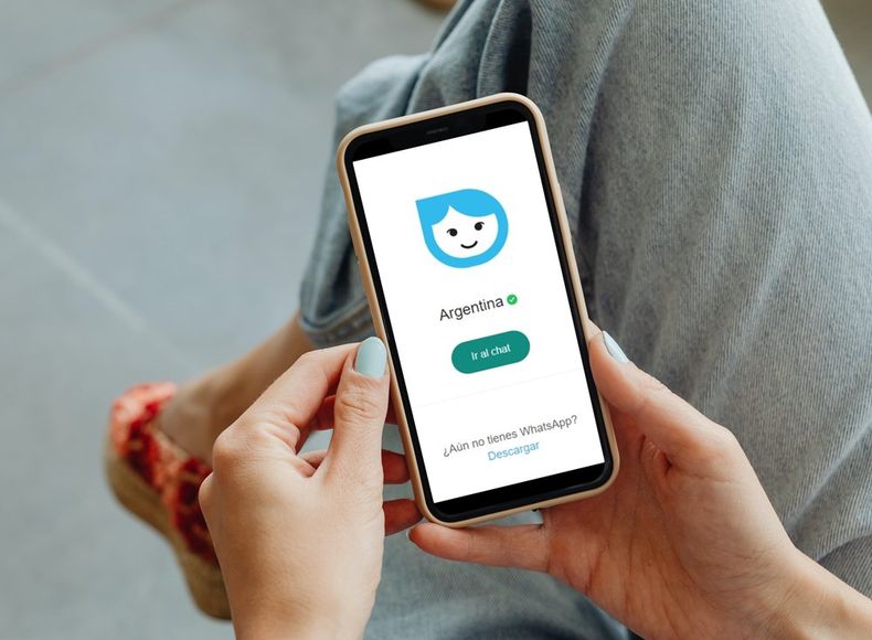 Tina, la Inteligencia Artificial del gobierno argentino