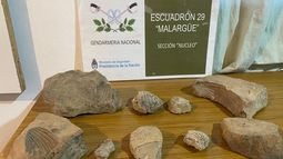 Gendarmería Nacional Argentina incauta restos arqueológicos.