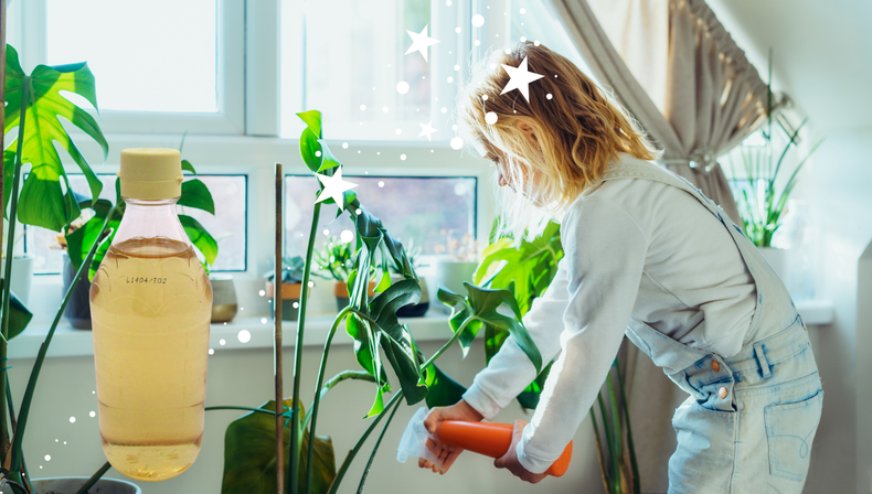 Jardinería: si tenés vinagre en tu casa, tenés un tesoro para tus plantas de interiores