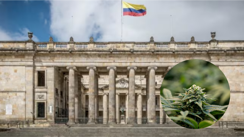 Colombia rechazó la legalización del cannabis: duros enfrentamientos
