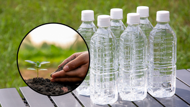 Sitio Andino | botella de plástico, riego por goteo, jardinería.png