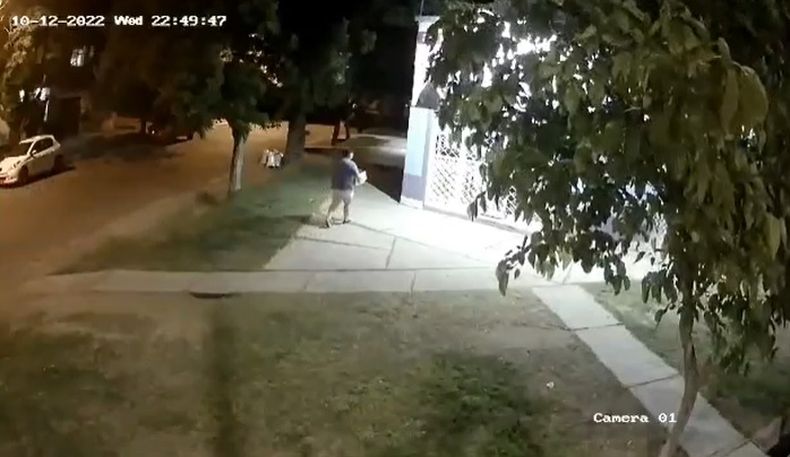 Los animales fueron abandonados en San Rafael