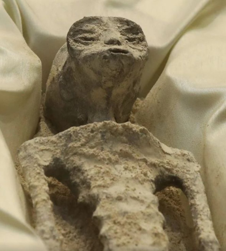 Presentaron cadáveres 